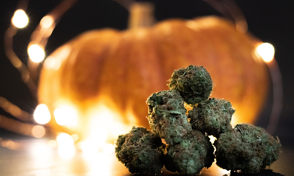 cannabis halloween strains