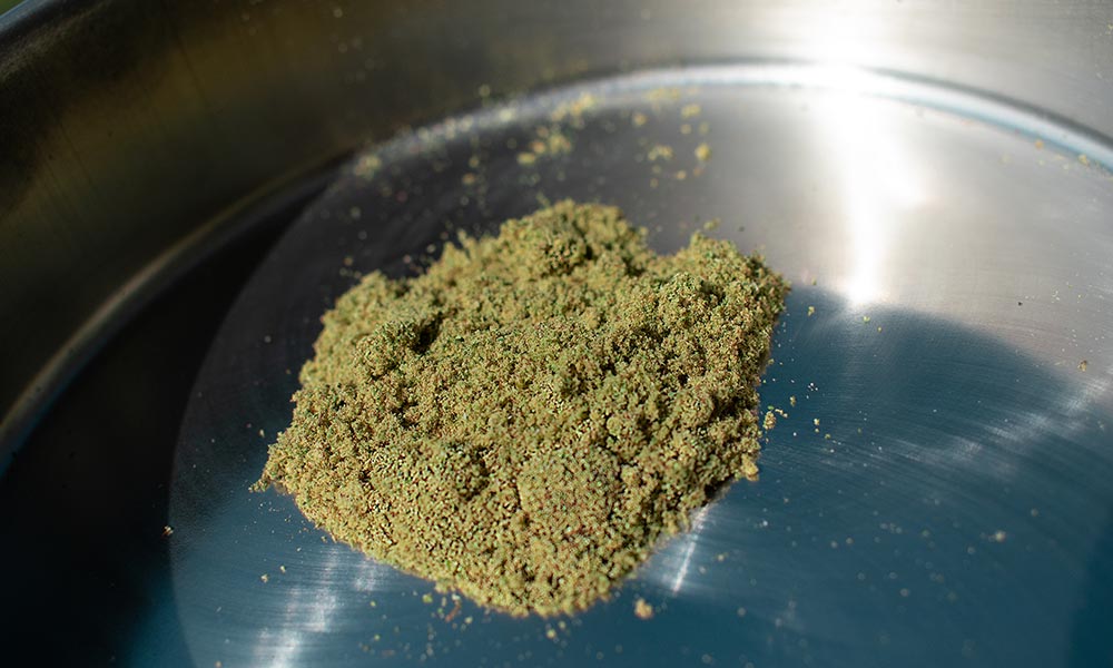 How to make kief? Can I just buy a bunch of weed, grind it up, and use the  kief produced from that - Quora
