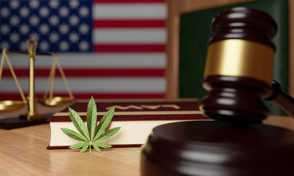 South Dakota Supreme Court Stops Cannabis Legalization Initiative
