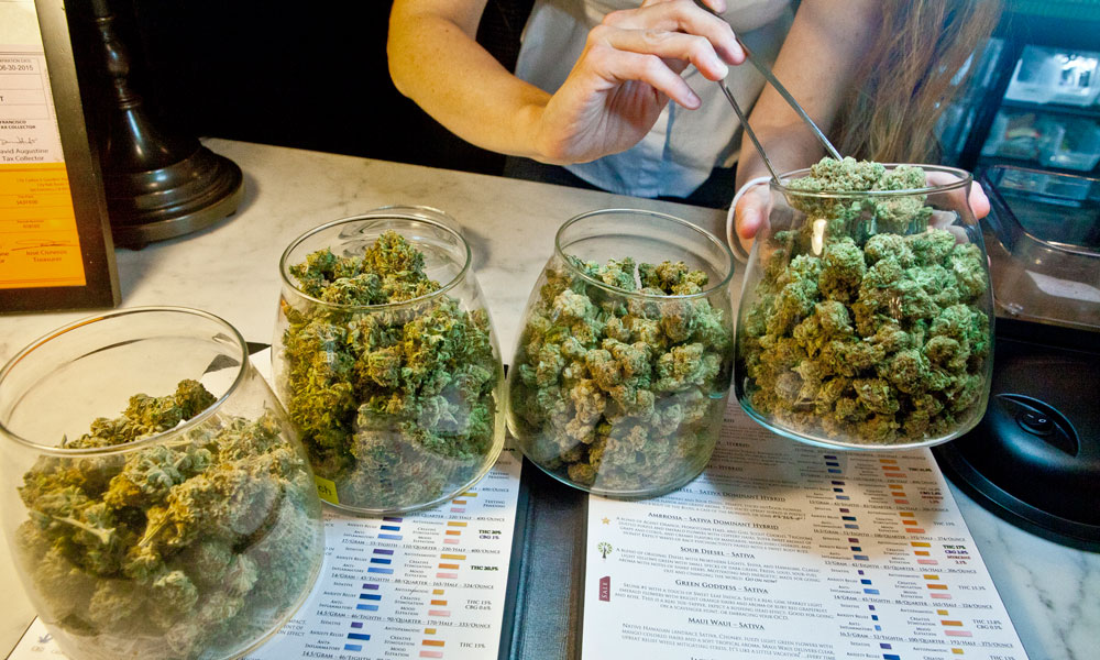 Budtender selecting cannabis at dispensary