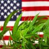 federal cannabis legalization