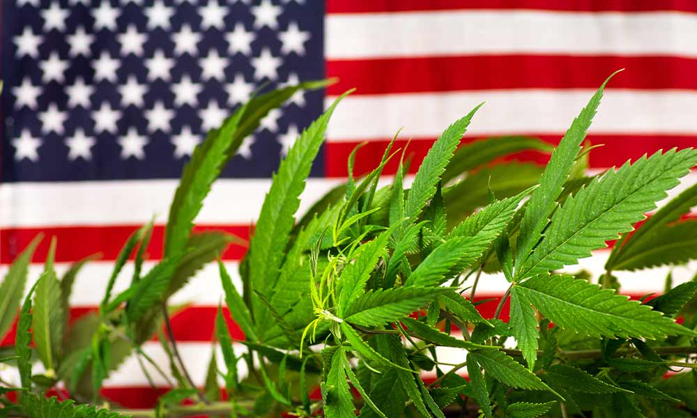 federal cannabis legalization