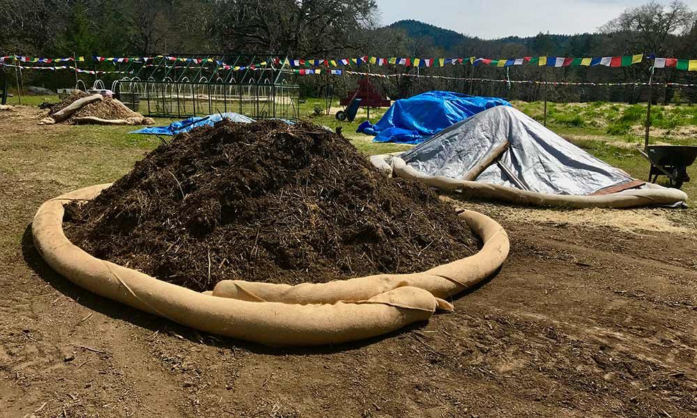 photo of Growing Soil for Cannabis, the Regenerative Way image
