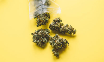 Standard Cannabis Dosing Unit