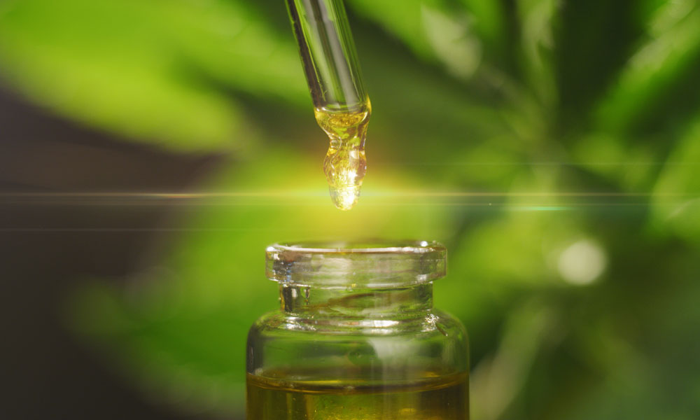CBD oil not intoxicating according to study
