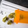 adult use cannabis decreases prescription drug use