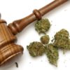 life sentence for federal cannabis conviction