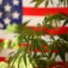 Founding Fathers grew hemp