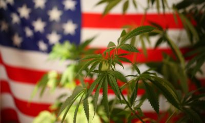 Founding Fathers grew hemp