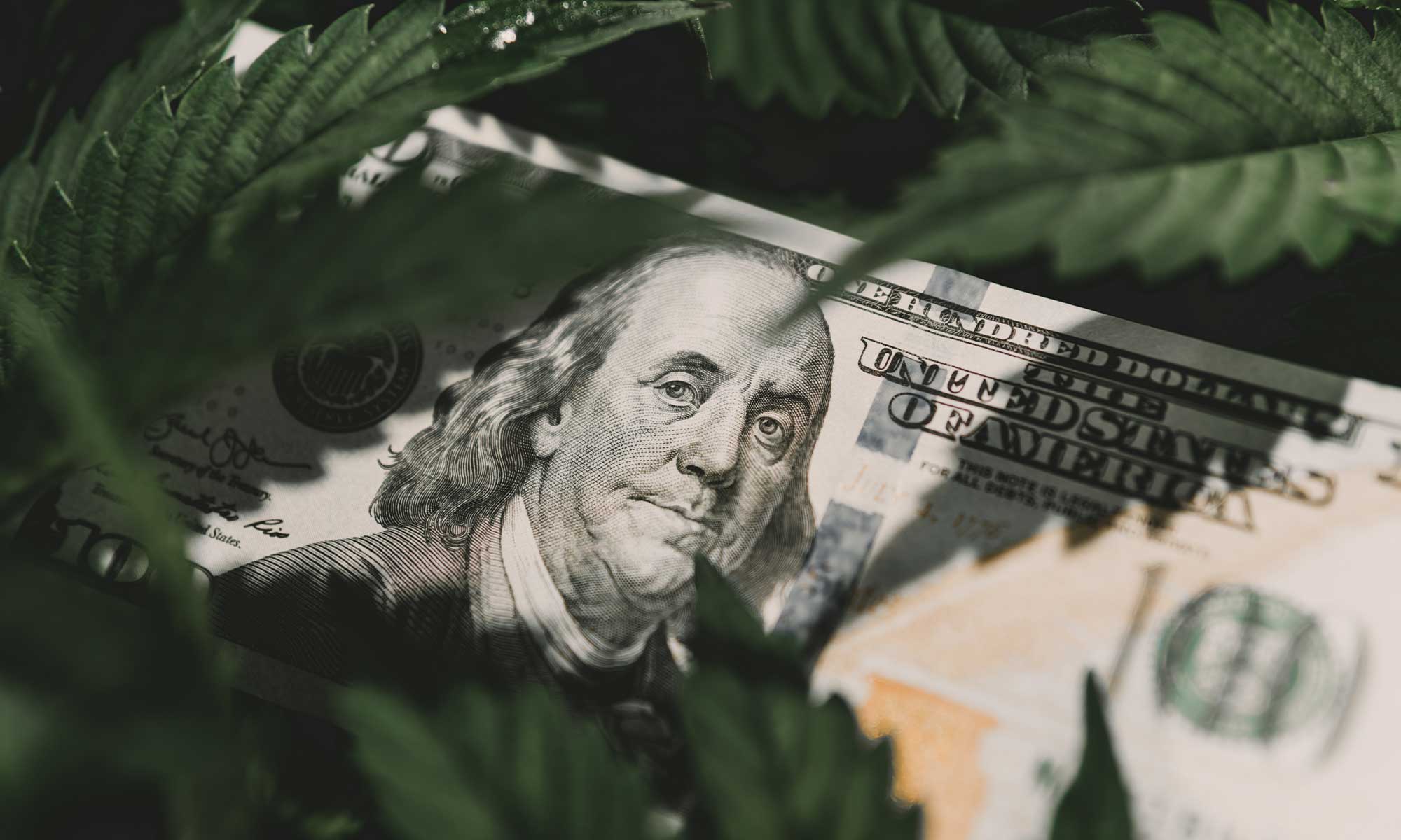 cannabis banking legislation