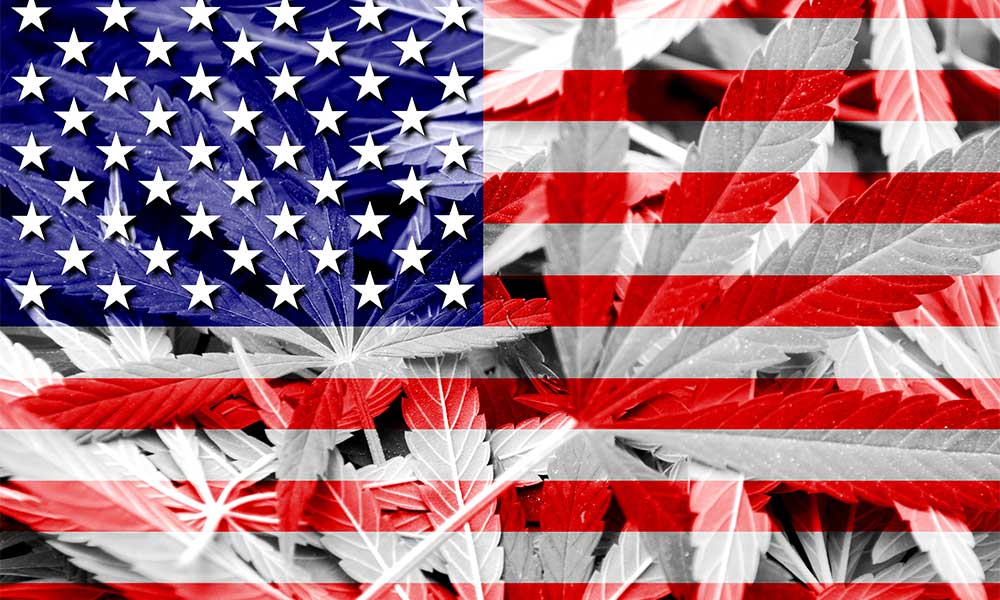 American flag and pot