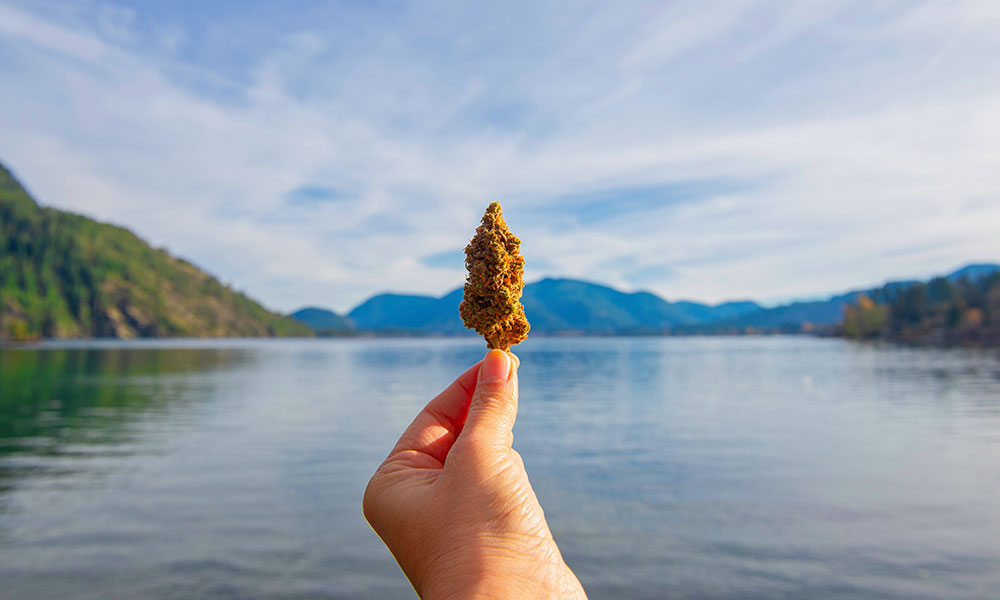 cannabis and Canada
