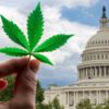 Joe Biden legalizing cannabis
