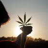 cannabis legalization 2023