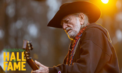 Hall of Fame: Willie Nelson