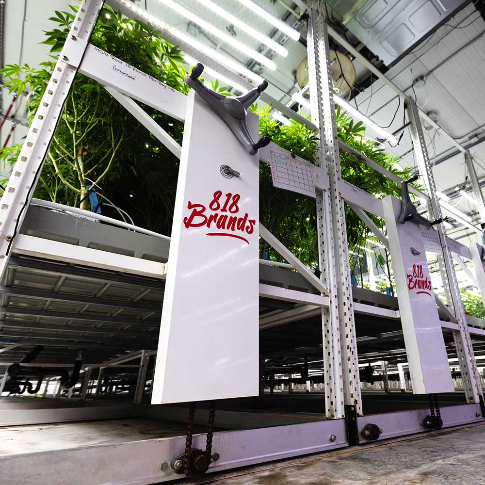 818 Brands cultivation facility