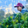 Lady Buds cannabis documentary