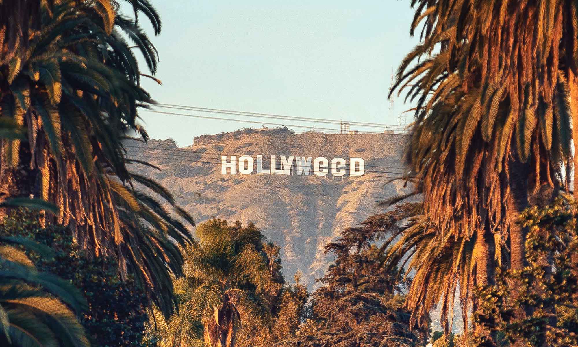 Hollyweed Sign Los Angeles