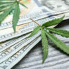 Missouri Cannabis Sales Cannabis Leaves with Money