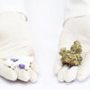 Medications You Should Avoid Using with Weed