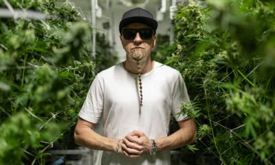 Shavo Odadjian Celebrity Cannabis Brands