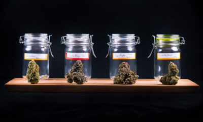 cannabis dispensary jars