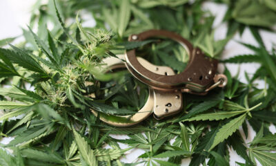 Decline in Federal Cannabis Prisoners