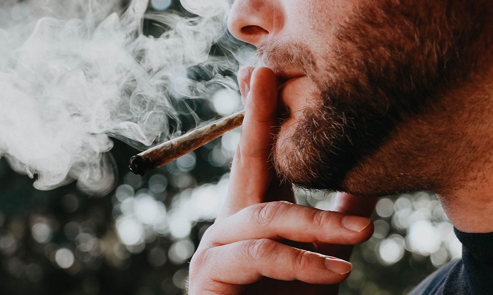 Gallup poll adult use cannabis