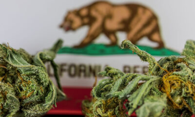 California cannabis bills