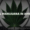 National Geographic Investigates: Legal Marijuana In America