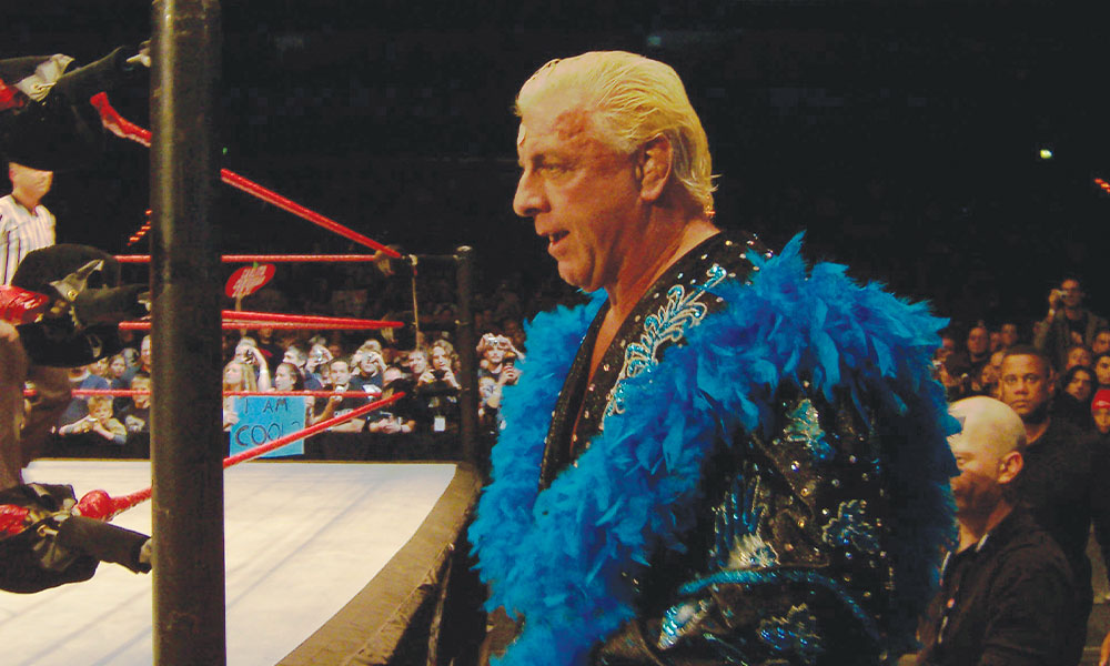 Ric Flair WWE