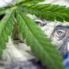 Cannabis Market Spotlight: California