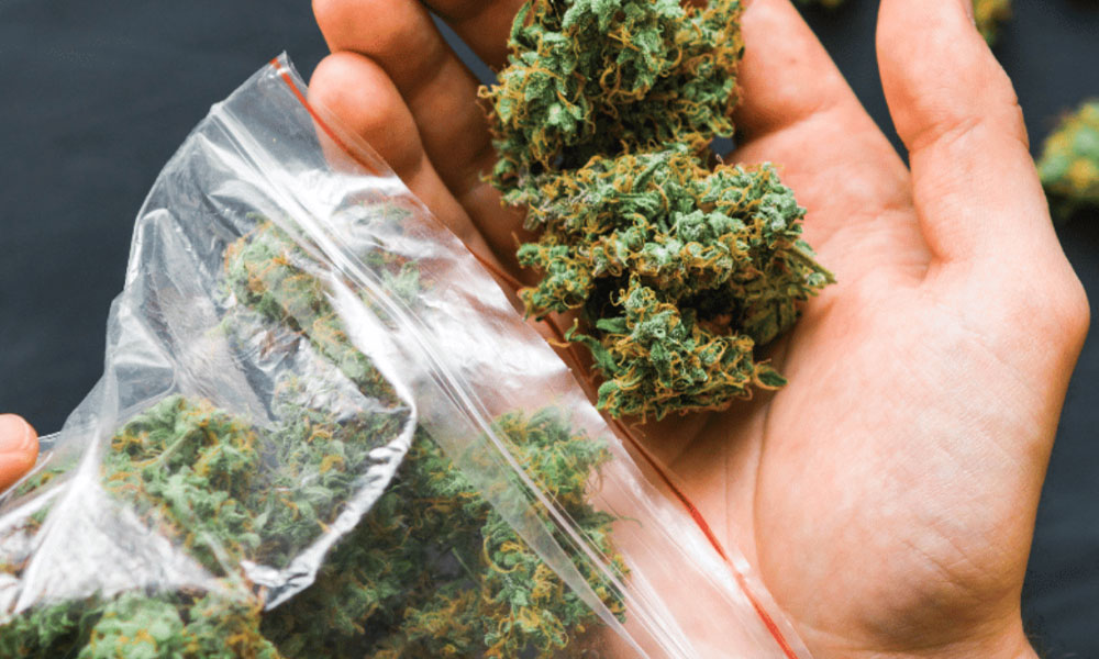 Decontamination in a pouch safeguards against cannabis cross-contamination