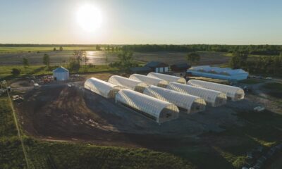 Lume farm cannabis greenhouses