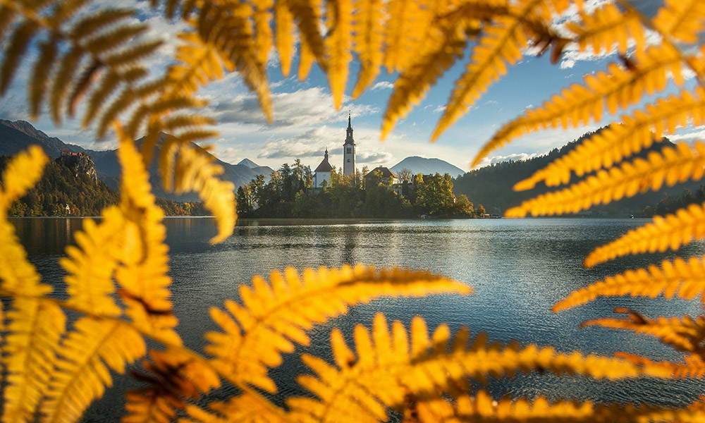 Slovenian Parliament Introduces Historic Medical Cannabis Measure