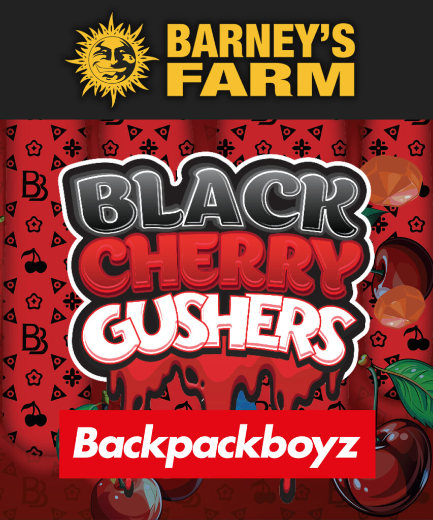 Black Cherry Gushers from Barney's Farm and Backpackboyz