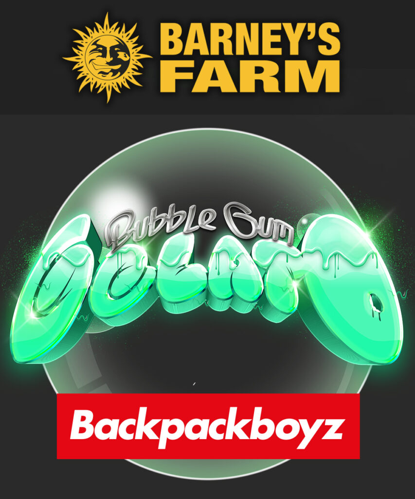 Barney's farm and Backbackboyz Bubble Gum Gelato