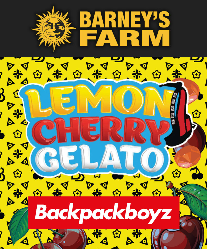 Barney's Farm and Backpackboyz lemon cherry gelato