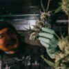 i love growing marijuana