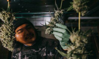 i love growing marijuana