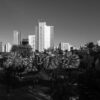 Anaheim, CA
