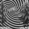 HypnoSeeds