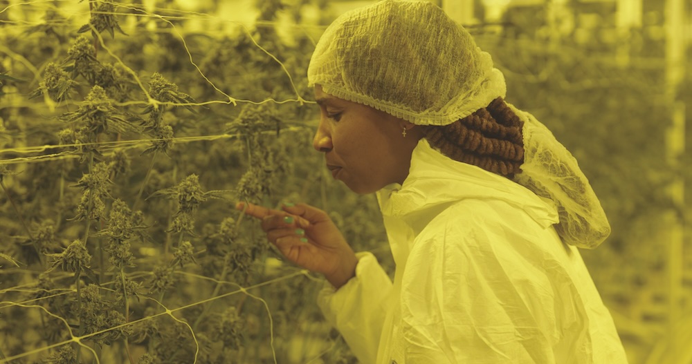 ‘Kiss My Grass’ Speaks Truth