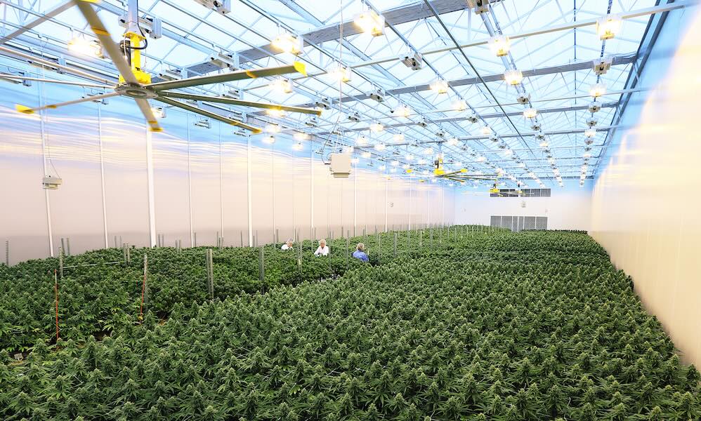 Sensi Brands facility