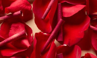 zig zag rose smoking cones