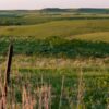 kansas prairie