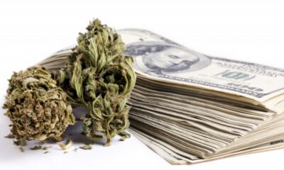 Cannabis Funding